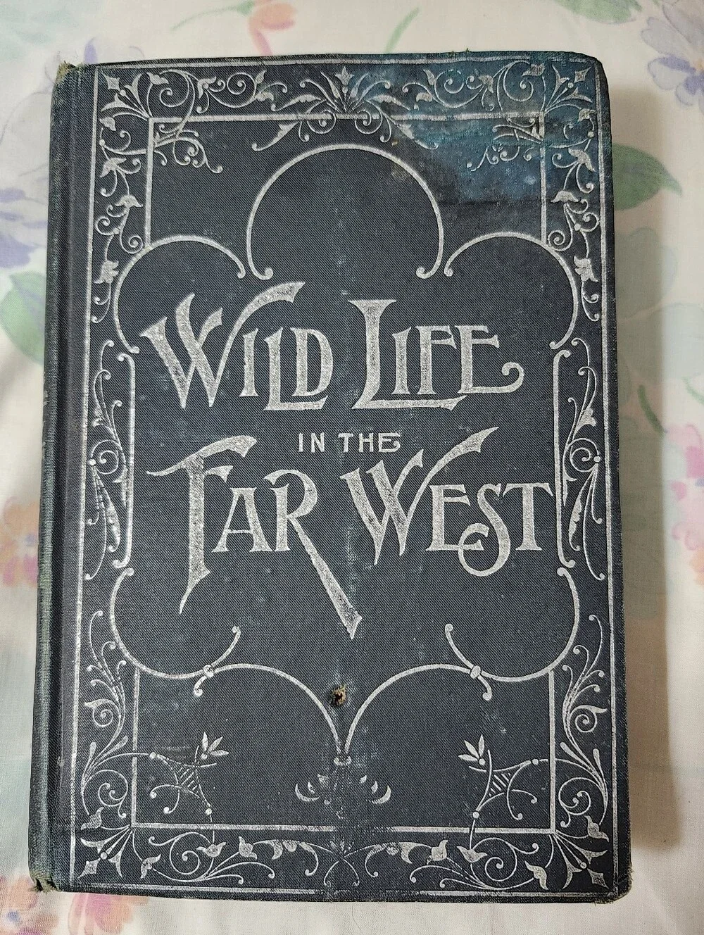 Rare Antique 1908 Copy of